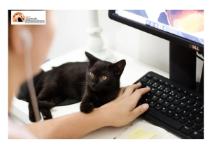 Progettazione europea, un corso formazione gratuito