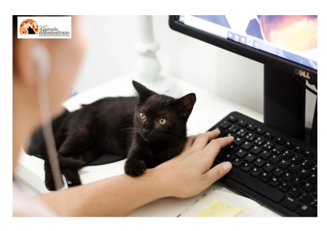 Progettazione europea, un corso formazione gratuito