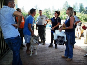 Sisma, il Dog Village offre ospitalità agli animali delle zone terremotate