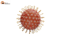 Coronavirus Abruzzo, dati aggiornati all’11 aprile