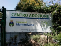 la nuova targa