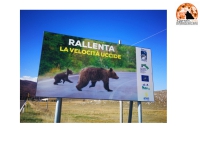 Parco Nazionale della Majella e Anas: 42 cartelli contro incidenti da fauna selvatica