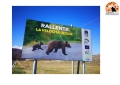 Parco Nazionale della Majella e Anas: 42 cartelli contro incidenti da fauna selvatica