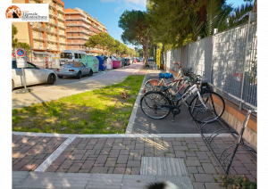 Foto notizia Cipas
