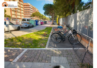  Foto notizia Cipas