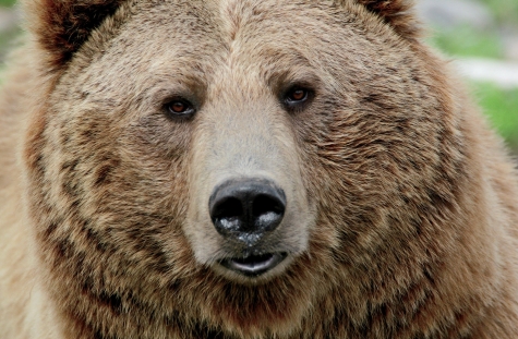 Gamberale/Seggiovia. Ambientalisti pro bocciatura: dannoso per ambiente, inutile per economia