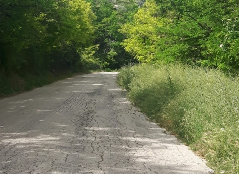 Spoltore, strade dissestate. Lega "Provincia non interviene"