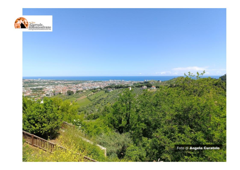 Montesilvano/verde pubblico: Sindaco annuncia piano di manutenzione capillare. ​Interventi su 750mila mq di superficie.