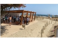 Pescara/eco-spiaggia dunale. "Attacchi pretestuosi e inutili."