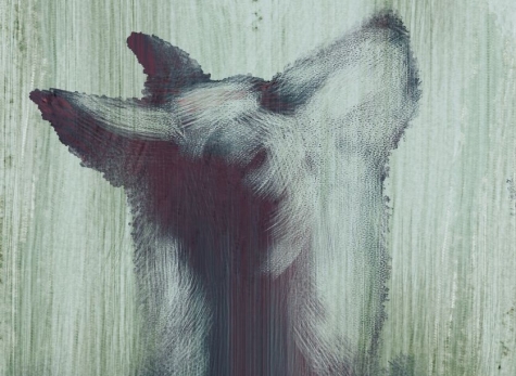 #Docudì - concorso di cinema documentario: Storie del dormiveglia di Luca Magi