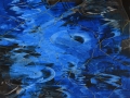 All'Aurum di Pescara, la Mostra “Mare nostrum”