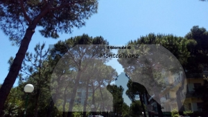 Pescara. La strage degli alberi: i tagli cominceranno lunedì 29. È tutto già deciso.