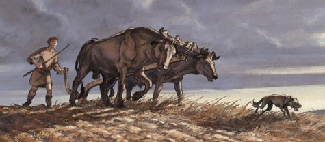 Montesilvano. Importante scoperta di antichi manufatti, Venerdì la consegna al Comune