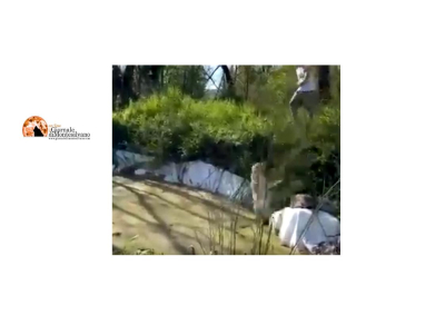 fotogramma del video fornito da Leal