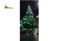 Pescara. L’albero di Natale di Castellamare accende le luci in Largo Madonna