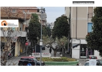 Montesilvano/Via Roma. "Troppo immobilismo. Basta con gli annunci e inutili passerelle. Si intervenga al più presto."