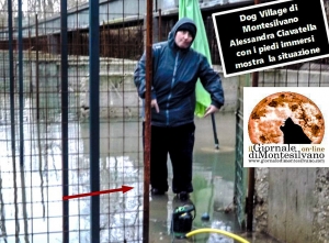 Dog Village, Alessandra Ciavattella, libera cittadina, in aiuto alla situazione da oggi cerca di aspirare l'acqua con una mini pompa