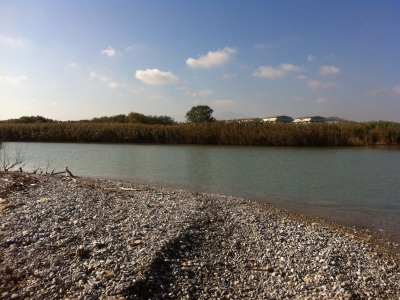 fiume Saline