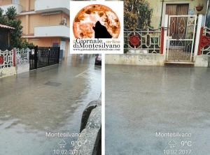 Scatti odierni, del residente di Via Liguria Traenus Negru