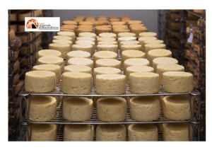 Grandi formaggi d'Abruzzo alla vetrina internazionale del cheese di Bra