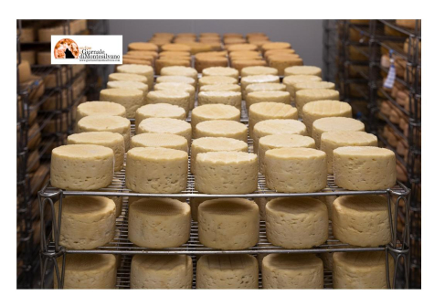 Grandi formaggi d'Abruzzo alla vetrina internazionale del cheese di Bra