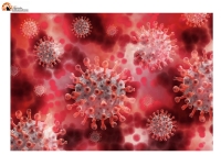 Coronavirus Abruzzo, dati aggiornati al 3 maggio: oggi 2273 nuovi positivi e 2798 guariti