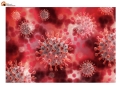 Coronavirus Abruzzo, dati aggiornati al 3 maggio: oggi 2273 nuovi positivi e 2798 guariti