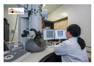 Lavoro: Cpi di Pescara organizza “recruiting day” per Alfasigma