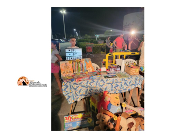 Montesilvano, “Mercatino dei Bambini”, affari e lo spettacolo di Burattini di Annalica Bates”