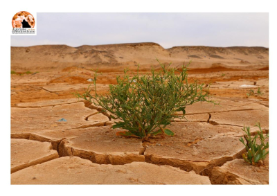 Clima, 2024 anno più caldo della storia: riscaldamento globale supera 1,5 gradi