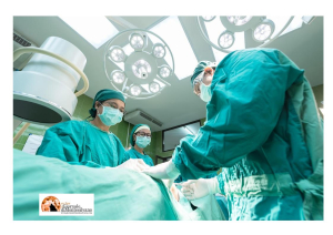 Abruzzo/Trapianti di rene da donatore vivente, istituito il tavolo tecnico regionale