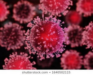 Coronavirus/Abruzzo. Altri 12 positivi.