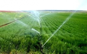 Pescara/consorzio bonifica sud. Agricoltori chiedono: aumentare irrigazione, ridurre tariffe.