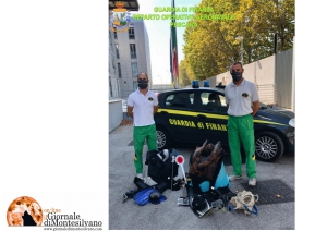 Sequestrati 100 kg di polpi destinato al mercato nero del pesce in Campania.