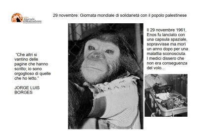 Enos in copertina