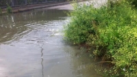 Lungofiume Saline allagata, fotogramma tratto da un video prodotto da Ruggero
