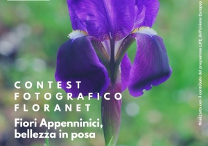 “Bellezza in posa”, concorso di fotografia, ecco come partecipare.