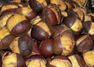 castagne