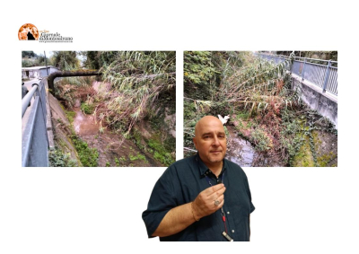 Donato Fioriti