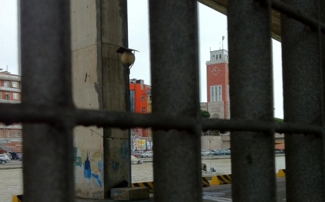 Pescara/Protesta lavoratori interinali Attiva. Pignoli chiede annullamento concorso