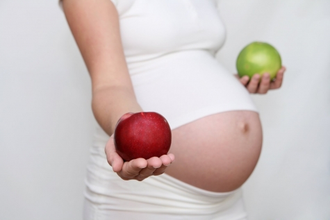 Strasburgo. No utero affitto sì matrimoni gay