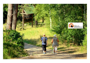 Turismo, 38 milioni di euro per rilancio comuni del cratere. Ecco i progetti finanziati.