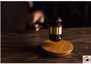 Percorsi d’arte moderna: 122 opere per la 14^ edizione dell’asta della Fondazione Genti d’Abruzzo