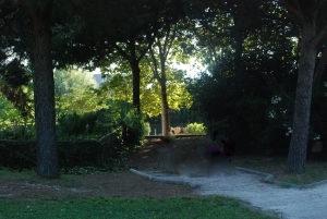 Montesilvano. La Festa dell'Albero al Parco della Libertà