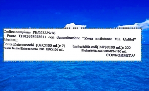 Estratto analisi supplettive Arta