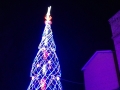 Giulianova, 6 alberi di Natale per la città. Eppur si critica.