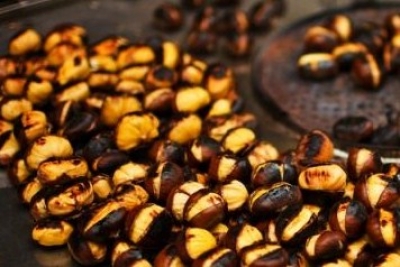 Sapori d’autunno a Montesilvano