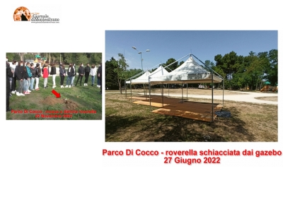 Pescara/ Parco Di Cocco. La giovane roverella mascotte è morta! "Uccisa dai gazebo"