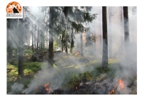 Incendi Chieti, Sinistra Italiana, "Potrebbero esserci interessi malavitosi"