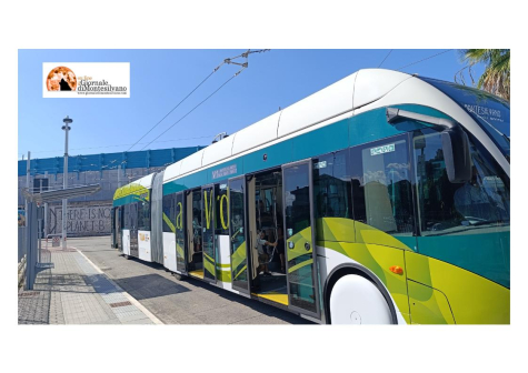 TPL Abruzzese: Sciopero di 24 ore il 6 febbraio 2026 – personale TUA S.p.A.